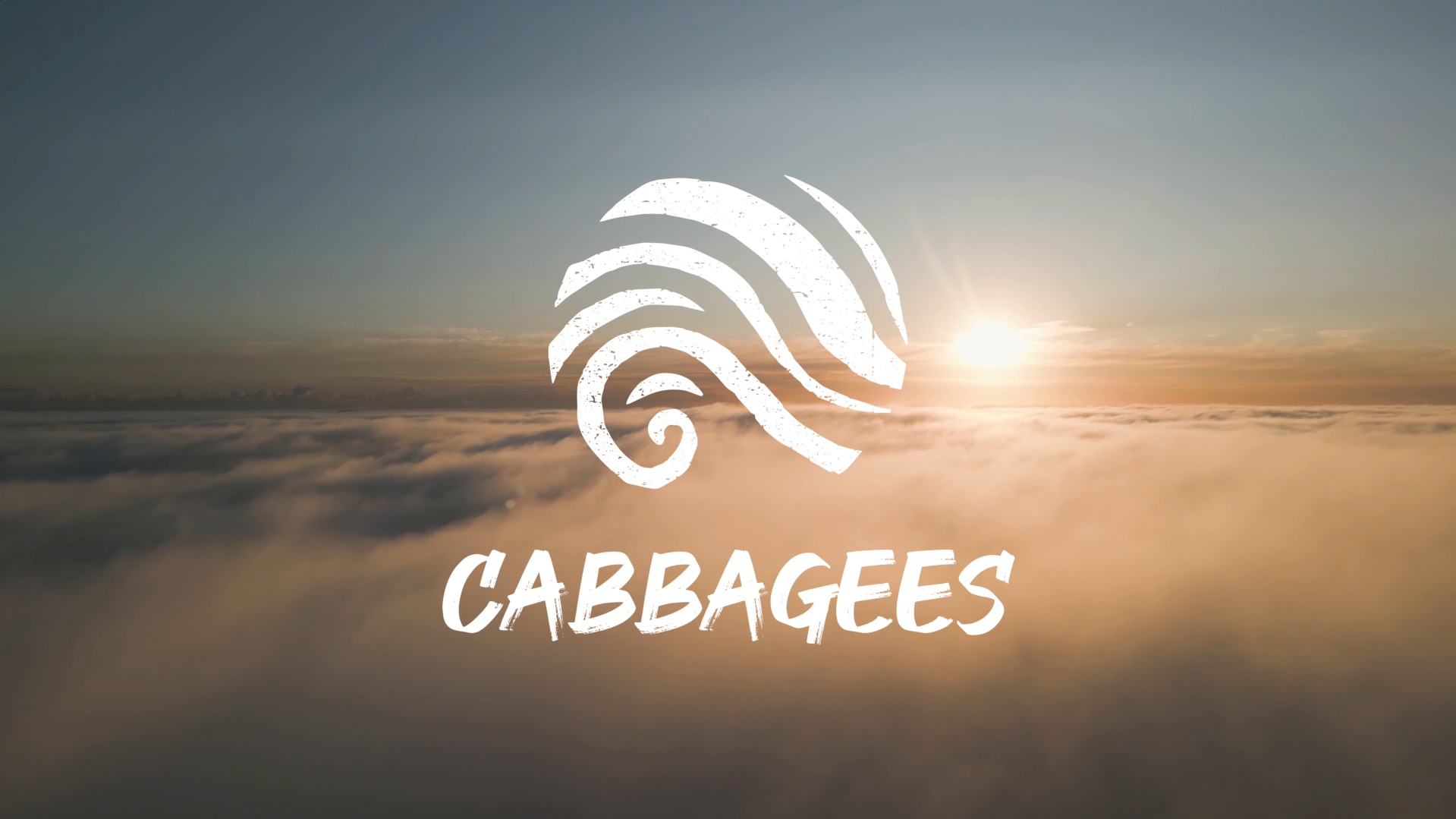 logo groupe rock Cabbagees