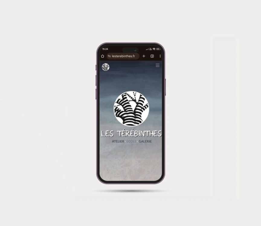 site web les térébinthes crozon smartphone